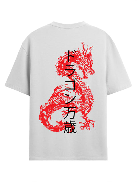 Adro Oversize T shirt for men | Drop shoulder T shirt | Mens Oversize T-shirt | 220 GSM Cotton Oversize Tshirt | Trendy Front and Back Printed T shirt