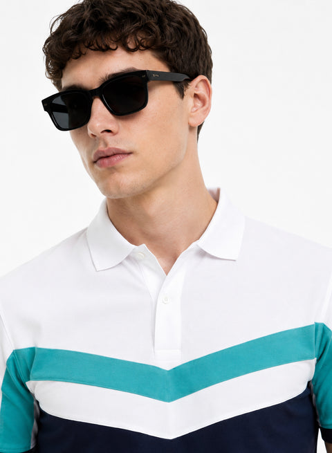 Adro Multicolour Polo T Shirt | 100% Cotton Mens Polo Tshirt | Regular Fit Half Sleeve Cut & Sew Polo T-shirt for men  | Arctic Arrow